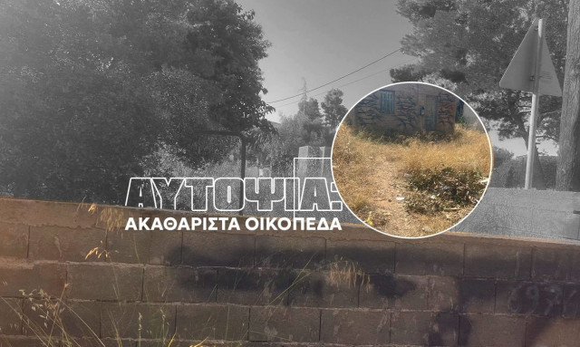 Αυτοψία Newsbomb για τα ακαθάριστα οικόπεδα: Τι απαντούν οι δήμοι για ξερά χόρτα και τους ελέγχους