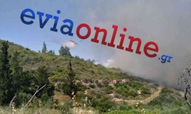 Εύβοια: Μεγάλη φωτιά στο Σπαθάρι – Στην κατάσβεση επιχειρούν 8 αεροσκάφη και 3 ελικόπτερα