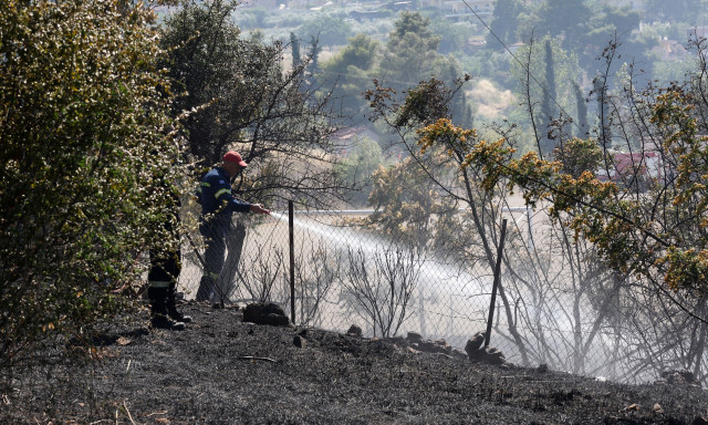 Φωτιά στην Πέτρα Βοιωτίας: Σε ύφεση και χωρίς ενεργό μέτωπο