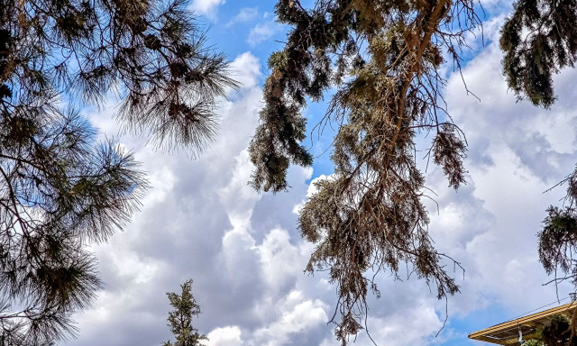 Καιρός αύριο: Έως 37 βαθμούς η θερμοκρασία - Σε ποιες περιοχές θα βρέξει