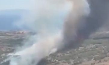 Φωτιά στη Σμύρνη - Οι φλόγες επεκτείνονται λόγω ανέμων - Βίντεο