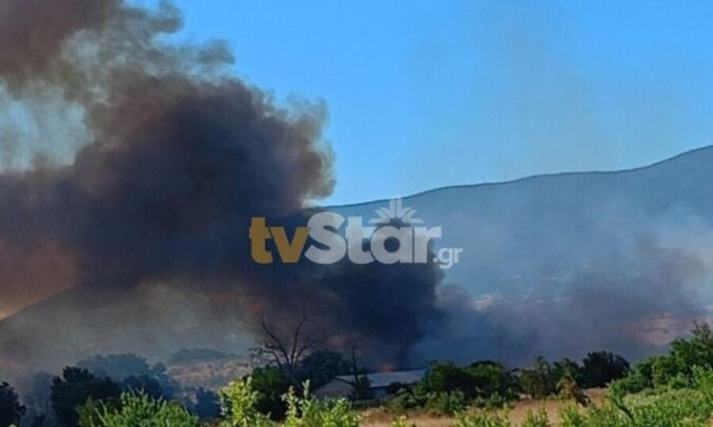 Φωκίδα: Φωτιά στη Μαριολάτα - Σηκώθηκαν εναέρια μέσα