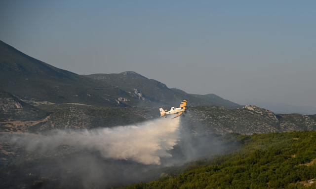Φωτιά στη Φθιώτιδα: Εκκενώθηκαν τα χωριά Σφάκα, Ζέλι και Κατάλυμα - Μπαράζ μηνυμάτων 112