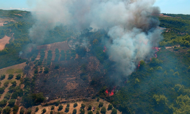 ΕΛΓΑ: Αποζημιώσεις 1,2 εκατ. ευρώ σε 441 δικαιούχους για τις ζημιές από πυρκαγιές του 2022