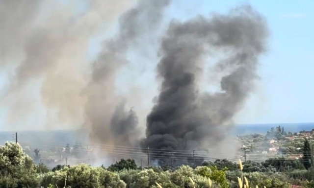 Χαλκιδική: Οριοθετήθηκε η φωτιά στη Νέα Καλλικράτεια - Παραμένουν στο σημείο οι πυροσβέστες
