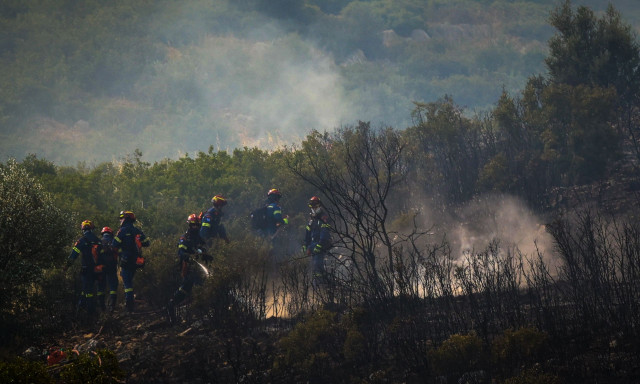 Φωτιά στο Ωραιόκαστρο: Μεγάλη κινητοποίηση της Πυροσβεστικής – Μήνυμα από το 112