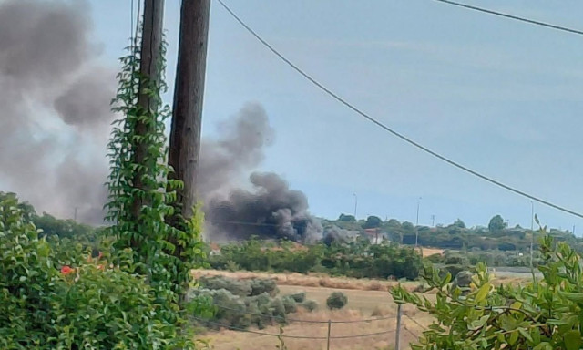 Φωτιά σε δασική έκταση στην Νέα Καλλικράτεια Χαλκιδικής - Ήχησε το 112, επιχειρούν και εναέρια