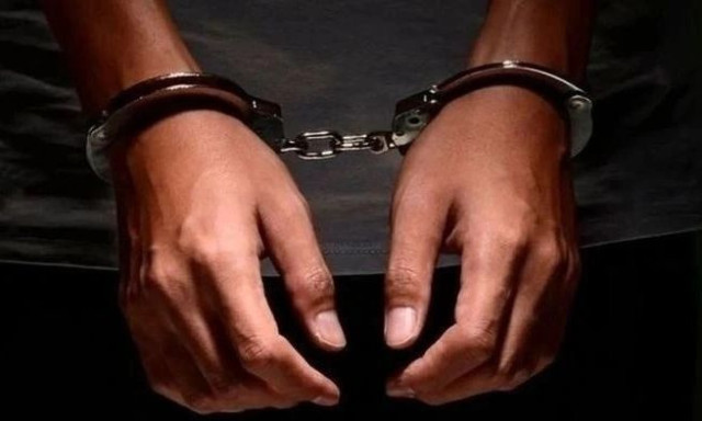 Φυτεία κάνναβης εντοπίστηκε στο χωράφι 64χρονου στο Ρέθυμνο