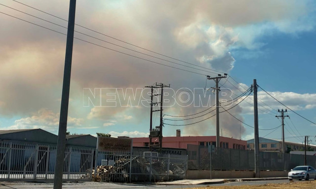 Μεγάλη φωτιά στην Οινόη - Μάχη της Πυροσβεστικής, επιχειρούν 10 εναέρια μέσα - Ήχησε το 112