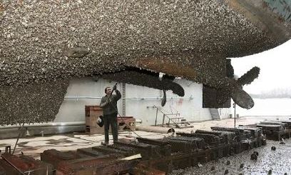 Στενά του Ορμούζ: Μετά τις βόμβες και τα drones... πεταλίδες και μύδια καθηλώνoυν τα δεξαμενόπλοια