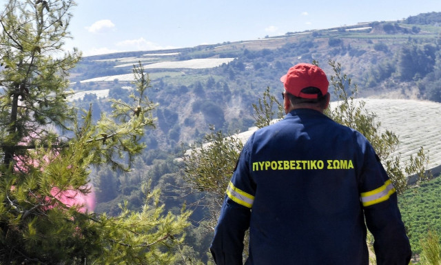 Δύο φωτιές στην Παραμυθιά Θεσπρωτίας - Στη μάχη και δύο αεροσκάφη