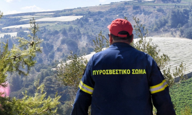 Φωτιά στον Άβαντα Αλεξανδρούπολης - Επιχειρούν τρία αεροσκάφη