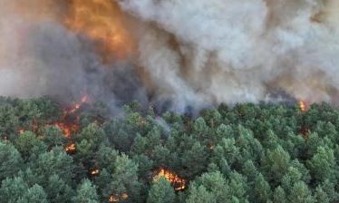 Γαλλία: Τεράστια πυρκαγιά έξω από το Παρίσι - Στις φλόγες το δάσος του Φοντενεμπλό