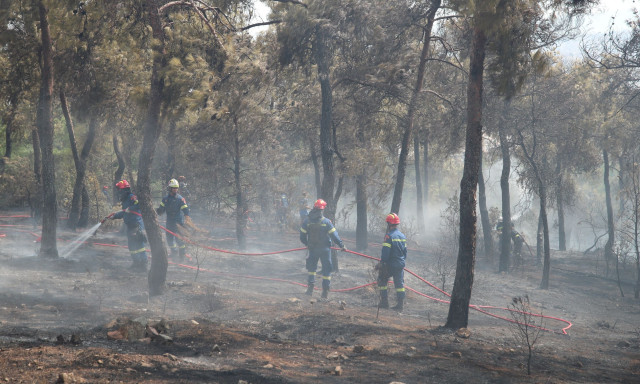 Θεσσαλονίκη: Απαγόρευση κυκλοφορίας σε δασικές περιοχές λόγω υψηλού κινδύνου πυρκαγιάς