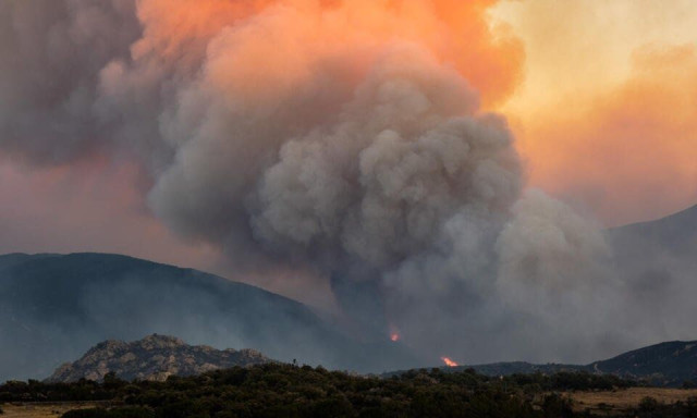 Γαλλία: 59 άνθρωποι έχουν συλληφθεί για τις φωτιές των τελευταίων ημερών - Οι 7 είναι υπό κράτηση