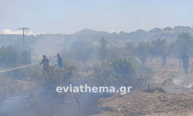 Φωτιά στο Αλιβέρι: Δεύτερο 112 για εκκένωση του Προφήτη Ηλία – Ενισχύθηκαν οι δυνάμεις