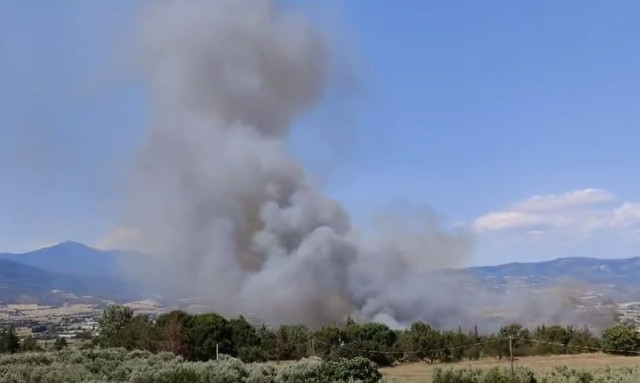 Φωτιά στη Θεσσαλονίκη: 112 για εκκένωση του βόρειου τμήματος της Σουρωτής