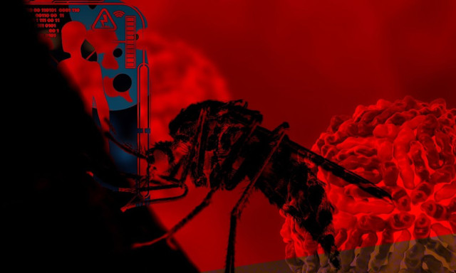 Ιός Δυτικού Νείλου: Τι συμβαίνει εάν σας τσιμπήσει κουνούπι;