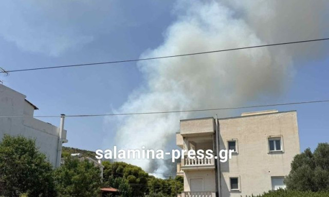 Φωτιά στα Σελίνια Σαλαμίνας - Μήνυμα από το 112 στους κατοίκους