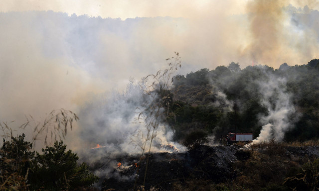 Εμπρησμοί στη Μεσσηνία: Οι διάλογοι που «καίνε» τη σπείρα - «Να φυλάει ο ένας να κόβει ο άλλος»