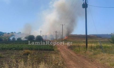 Φωτιά στο Παλαιοχώρι Λαμίας - Στη μάχη έξι εναέρια μέσα