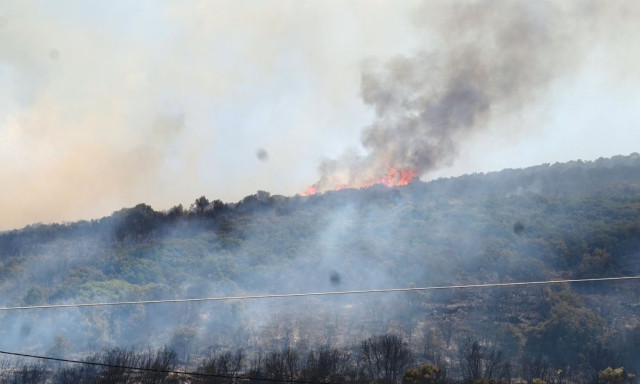 Υπό μερικό έλεγχο τέθηκε η φωτιά στο Αδάμι Αργολίδας - Παραμένουν οι ισχυρές πυροσβεστικές δυνάμεις