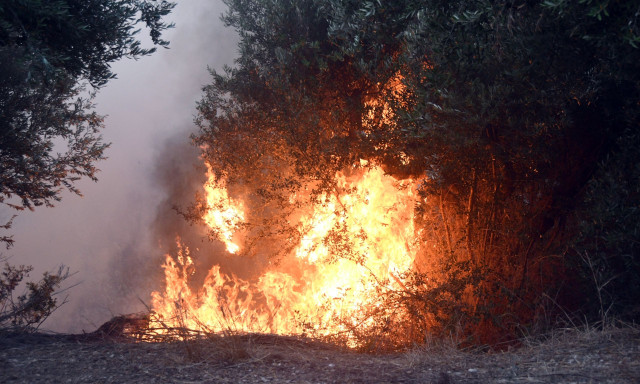 Κάλυμνος: Φωτιά τώρα σε δασική έκταση στον Άγιο Σάββα