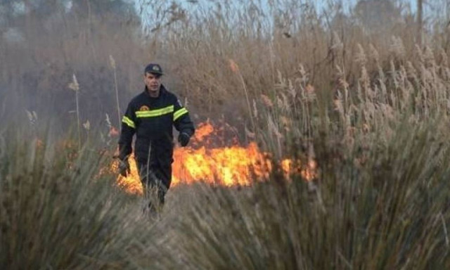 Θεσσαλονίκη: Υπό έλεγχο οι εστίες φωτιάς που ξέσπασαν στο Φίλυρο