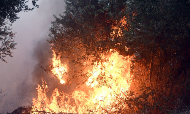 Φωτιά στο Μαντούδι - Άμεση κινητοποίηση της Πυροσβεστικής