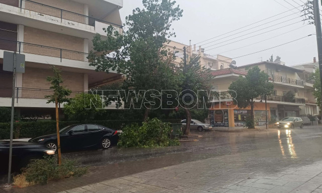 Κακοκαιρία: Εγκλωβισμένο άτομο μέσα σε ταξί στο Ίλιον - Έπεσε δέντρο πάνω στο όχημα