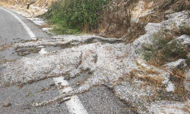 Σφοδρή χαλαζόπτωση στον Τύρναβο: Άσπρισαν οι δρόμοι, μεγάλες ζημιές σε καλλιέργειες - Βίντεο