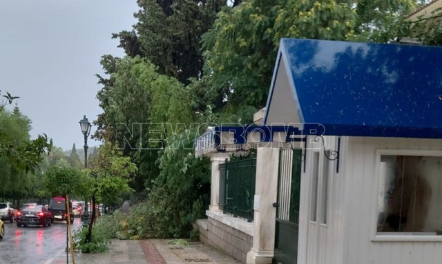 Κακοκαιρία - Προεδρικό Μέγαρο: Δέντρο έπεσε έξω από την Προεδρική Φρουρά