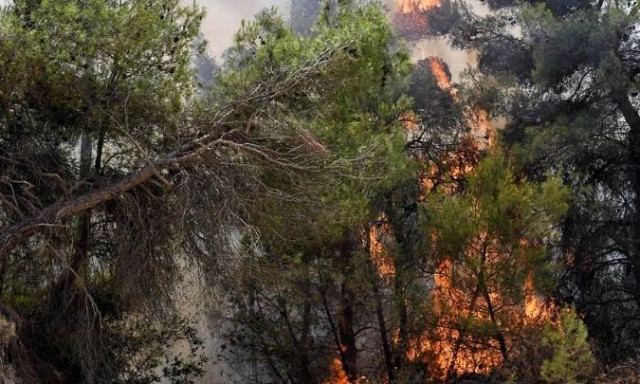 Φωτιά στην Κινέτα