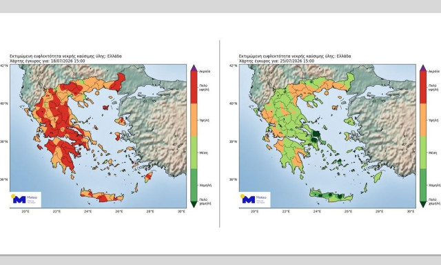 Ο χάρτης της νεκρής καύσιμης ύλης στη χώρα μας - Ο ρόλος των βροχοπτώσεων