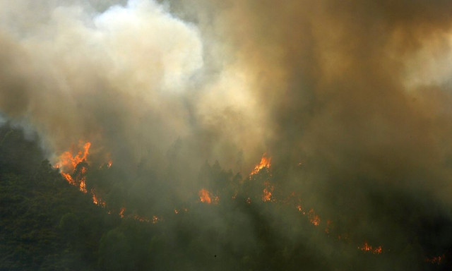 Φωτιές και στην Πορτογαλία εν μέσω καύσωνα - Πάνω από 1.000 πυροσβέστες επιχειρούν