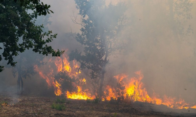 Γαλλία: Η πυρκαγιά μπορεί να χρειαστεί μήνες για να σβήσει - Έκτακτο υπουργικό υπό τον Μακρόν