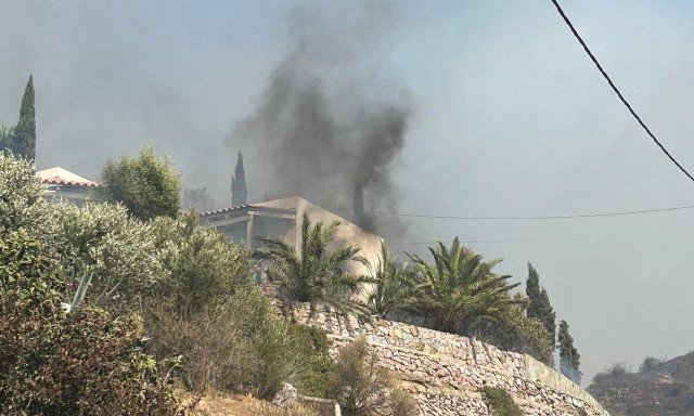 Ρέθυμνο: «Η φωτιά ειναι ανεξέλεγκτη - Δεν υπάρχουν εναέρια μέσα», λέει ο δήμαρχος της περιοχής