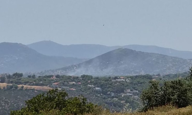 Φωτιά τώρα στην Αρτέμιδα - Καίει κοντά στο Δημαρχείο