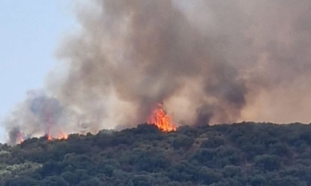 Φωτιά τώρα στο Γύθειο: 112 για ετοιμότητα, ισχυρές δυνάμεις στο σημείο