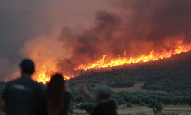 Φωτιές σε Αττική, Βοιωτία και Αργολίδα: Ο καπνός έφτασε στη Βόρεια Αφρική - Δορυφορικές εικόνες