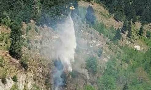 Ευρυτανία: Υπό έλεγχο η φωτιά στον Μάραθο Αγράφων