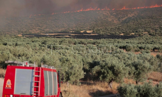 Φωτιά στη Βοιωτία - Περιφερειάρχης Στερεάς Ελλάδας στο Newsbomb: «Έχουμε ακόμα δρόμο μπροστά μας»