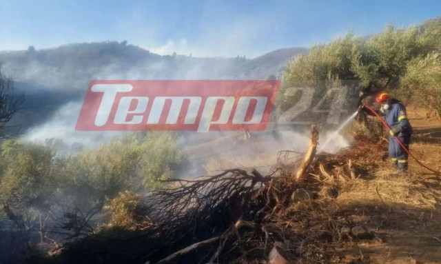 Αχαΐα: Ενισχύθηκαν οι δυνάμεις για τη φωτιά στην περιοχή Φλόκα - Επιχειρούν επτά εναέρια μέσα