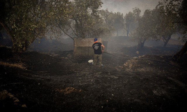 Μυτιλήνη: H φωτιά έκαψε 614 στρέμματα στο Πλωμάρι - Οι κάτοικοι την αποδίδουν σε κολώνα του ΔΕΔΔΗΕ