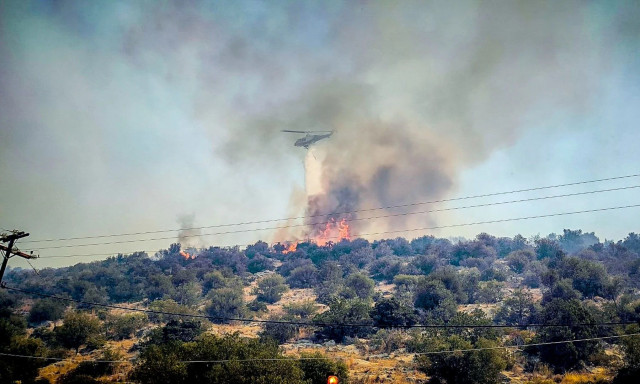 Φωτιά Βοιωτία: Οι φλόγες πέρασαν μέσα από την Ξηρονομή - Μπαράζ εκκενώσεων