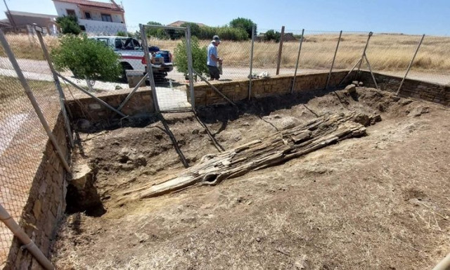 Aνάδειξη γιγάντιου απολιθωμένου κορμού δένδρου στο Βάρος Λήμνου