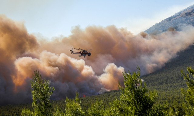 Πυκνό νέφος καλύπτει την Πελοπόννησο από τη φωτιά στο Πόρτο Γερμενό - Βίντεο