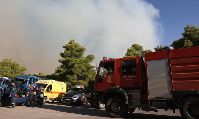 Κραυγή αγωνίας για τη φωτιά στη Βοιωτία: «Αναζωπύρωση στη Λιβαδόστρα, πλησιάζει στα σπίτια, είναι στα δέκα μέτρα, καίγονται ποιμνιοστάσια», είπε ο κοινοτάρχης Λεύκτρων - Μήνυμα 112