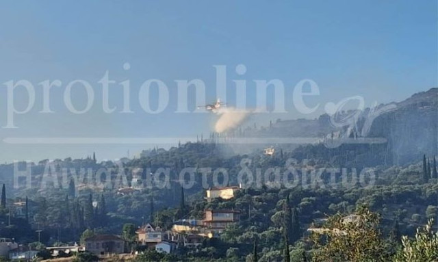 Αίγιο: Βελτιωμένη η εικόνα της φωτιάς - Καίγονται ελαιώνες και αγροτοδασικές εκτάσεις