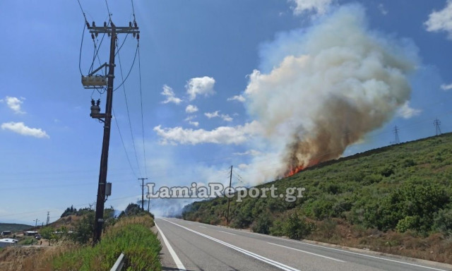 Καμηλόβρυση: Επικίνδυνη φωτιά σε καταυλισμό Ρομά - Πέρασε το δρόμο και καίει δασική έκταση